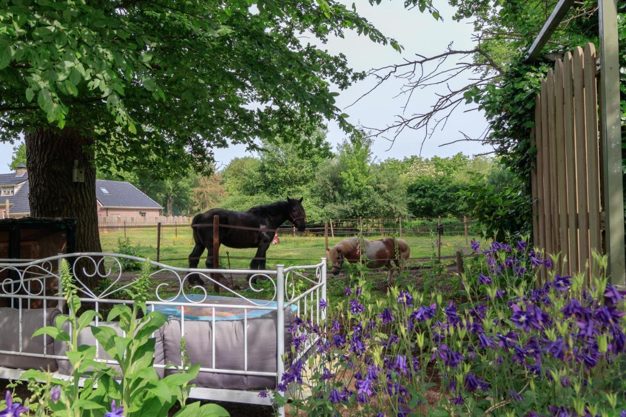 Het Grote Paard Διαμέρισμα Havelte Εξωτερικό φωτογραφία